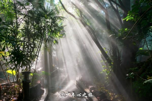 胡可带儿子游新加坡,安吉瘦回“东北宋仲基”,小鱼儿胖出新高度