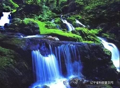 “电音朵拉”秦岚的嗓子，终于恢复