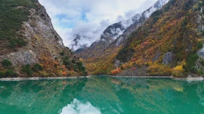 笑脸球的冒险之旅
